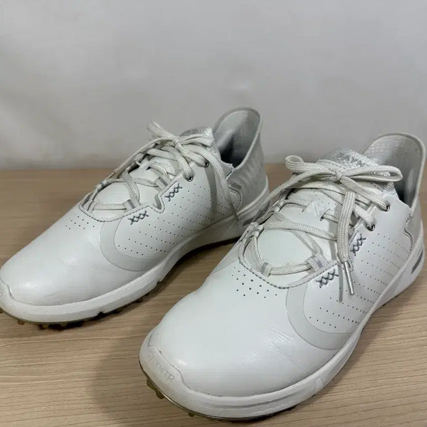 [BUNJANG] Painter Golf Shoes - Size 240 / 페인터 골프화  240