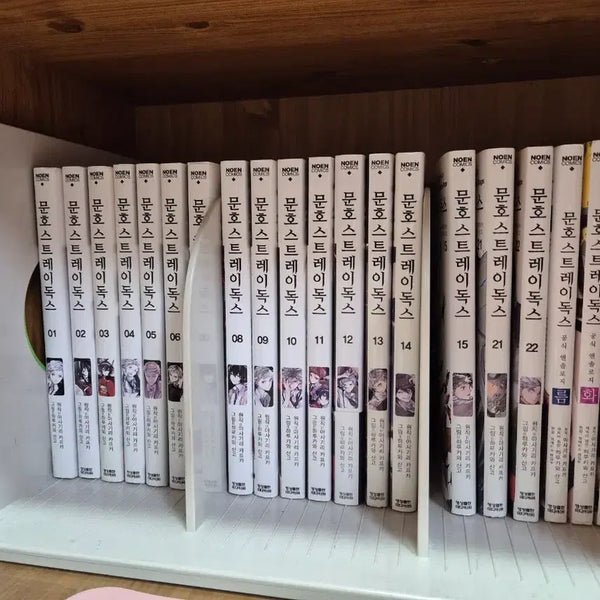 [BUNJANG] Bungo Stray Dogs Manga Bundle Set / 문스독 만화책 판매 일괄