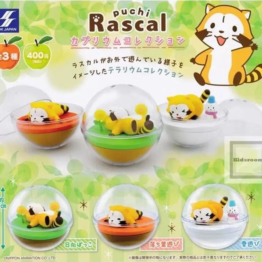 [BUNJANG] Rascal Terrarium 3종 Set (Summer, Autumn, Winter) / 3개 일괄가) 라스칼 테라리움 3종 /여름가을겨울