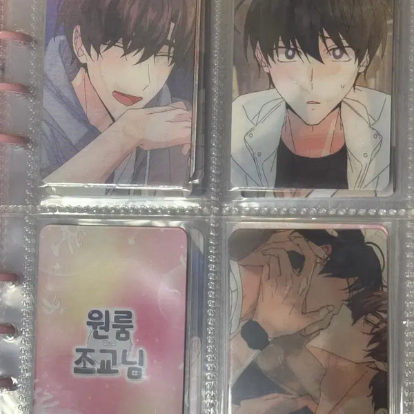 [BUNJANG] Special Applicant Lenticular Photocard Monthly Photocard Bundle Set / 신혼부부특별전형 신특 렌티큘러 포카 월간포카