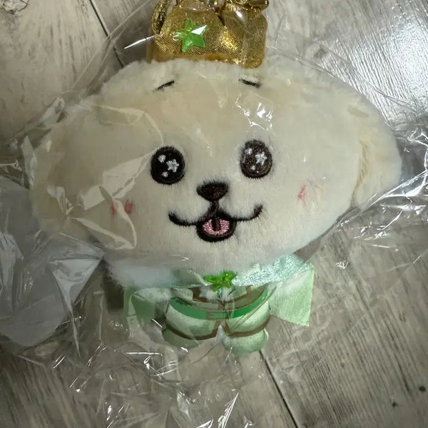 [BUNJANG] Jaehee (Wish Dolls) 2nd Anniversary Voice Prince Wish Doll POB Photocard / 재희 댕트리버 미개봉 보이스 프린스 위시돌 2주년 왕자 위시팬미팅