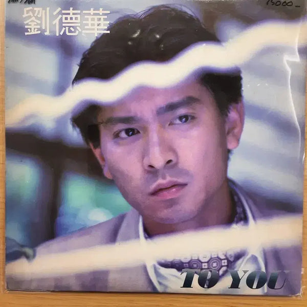 [BUNJANG] Andy Lau LP / 유덕화 lp