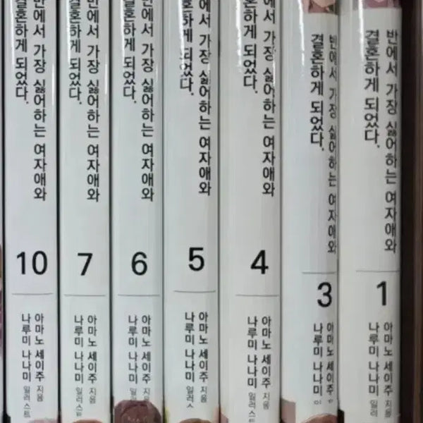 [BUNJANG] The Girl I Hate the Most in My Class and I Are Getting Married Light Novel / 라이트 노벨 반에서 가장 싫어하는 여자애와 결혼하게 되었다
