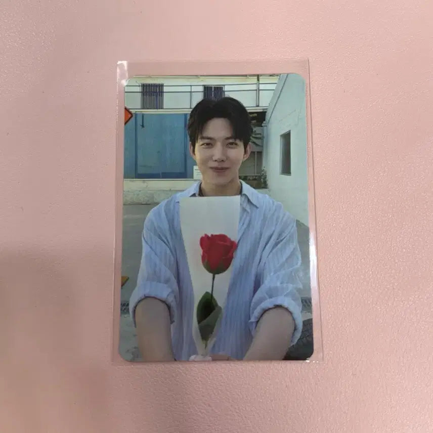 [BUNJANG] DAY6 TheDkay Concert MD DoWoon Photocard / 데이식스 더데케이드 콘서트 엠디 5만원 구매 특전 포카 도운