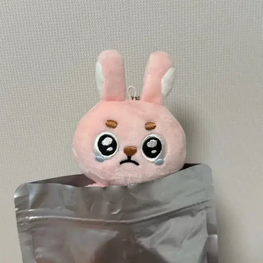 [BUNJANG] DAY6 Wonpil Unfiltered Solo Concert Goods Mini Plush Keyring Ppooengpil / 데이식스 원필 언필터드 솔콘 굿즈 엠디 미니플러시 키링 뿌엥필