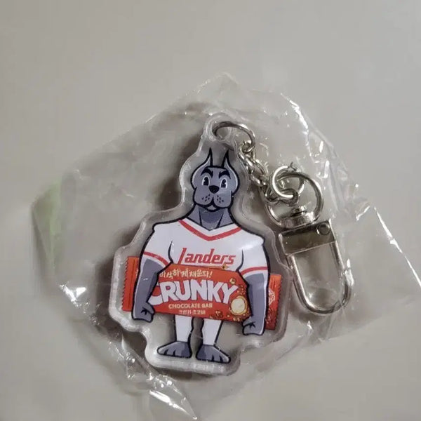 [BUNJANG] Landers Keyring / 랜더스키링