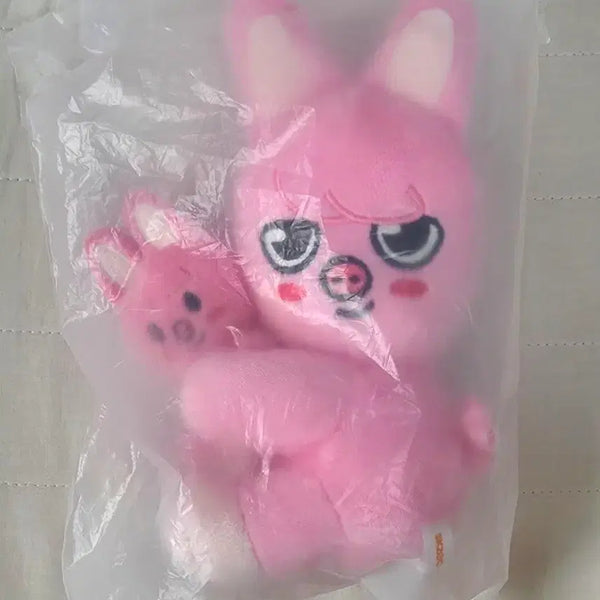 [BUNJANG] Stray Kids Changbin Dwaekki Magnet Plush Doll Sealed / 스트레이키즈 스키주 창빈 돼끼 마그넷 플러시 인형 미개봉