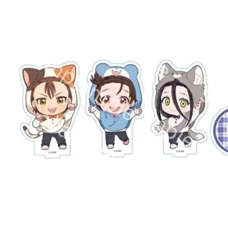 [BUNJANG] Medalist Poncho Princess Hikaru Inori Acrylic Goods / 메달리스트 판초 프린세스 카페 동물 히카루 이노리 미케 아크릴 굿즈