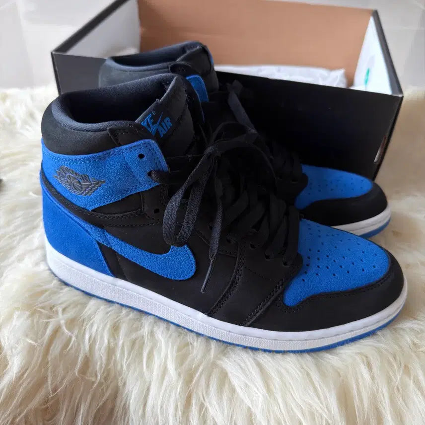 [BUNJANG] Air Jordan 1 Royal Reimagined Men's Shoes 270mm / 조던1 로얄 리이매진드 270mm