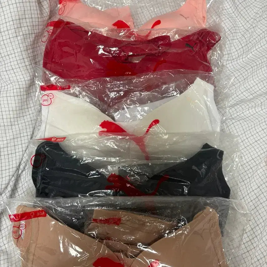 [BUNJANG] Puma Women's Underwear Set / 푸마 여성 언더웨어[쿨거래시 1만원 할인]