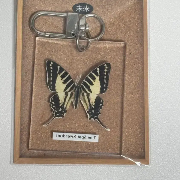 [BUNJANG] Future of Future Butterfly Specimen Keyring / 미래의 미래 나비 박제 키링