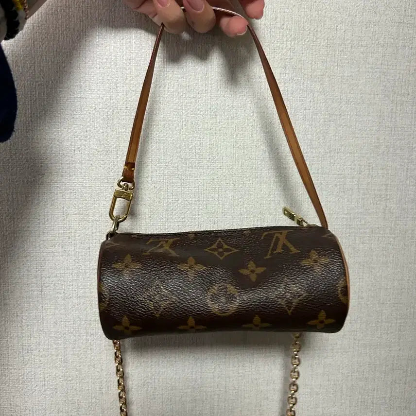 [BUNJANG] Louis Vuitton Papillon Mini Bag / 루이비통 빠삐용 미니