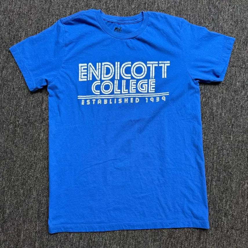 [BUNJANG] Vintage Endicott College Lettering Short-Sleeve T-Shirt (Medium) / 빈티지 엔디콧 컬리지 레터링 반팔 티셔츠 | 상태 좋음