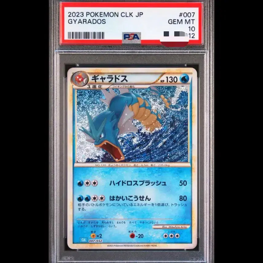 [BUNJANG] Gyarados Pokemon Card PSA 10 CLK / Psa10) 갸라도스 포켓몬 카드 clk