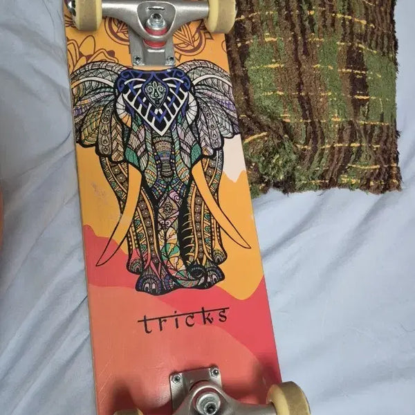 [BUNJANG] Tricks Mandala Skateboard / 트릭스 만다라 스케이트 보드