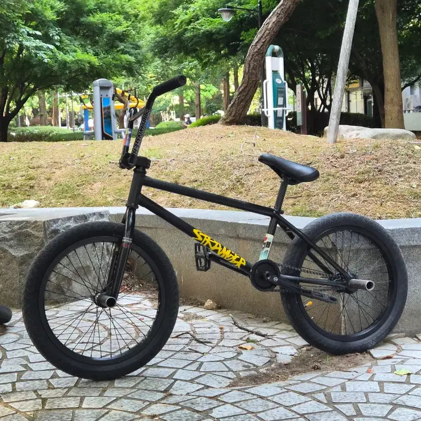 [BUNJANG] Stranger BMX Steve Churchill Frame / bmx (프대프)