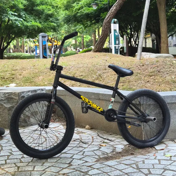 [BUNJANG] Stranger BMX Steve Churchill Frame / bmx (프대프)