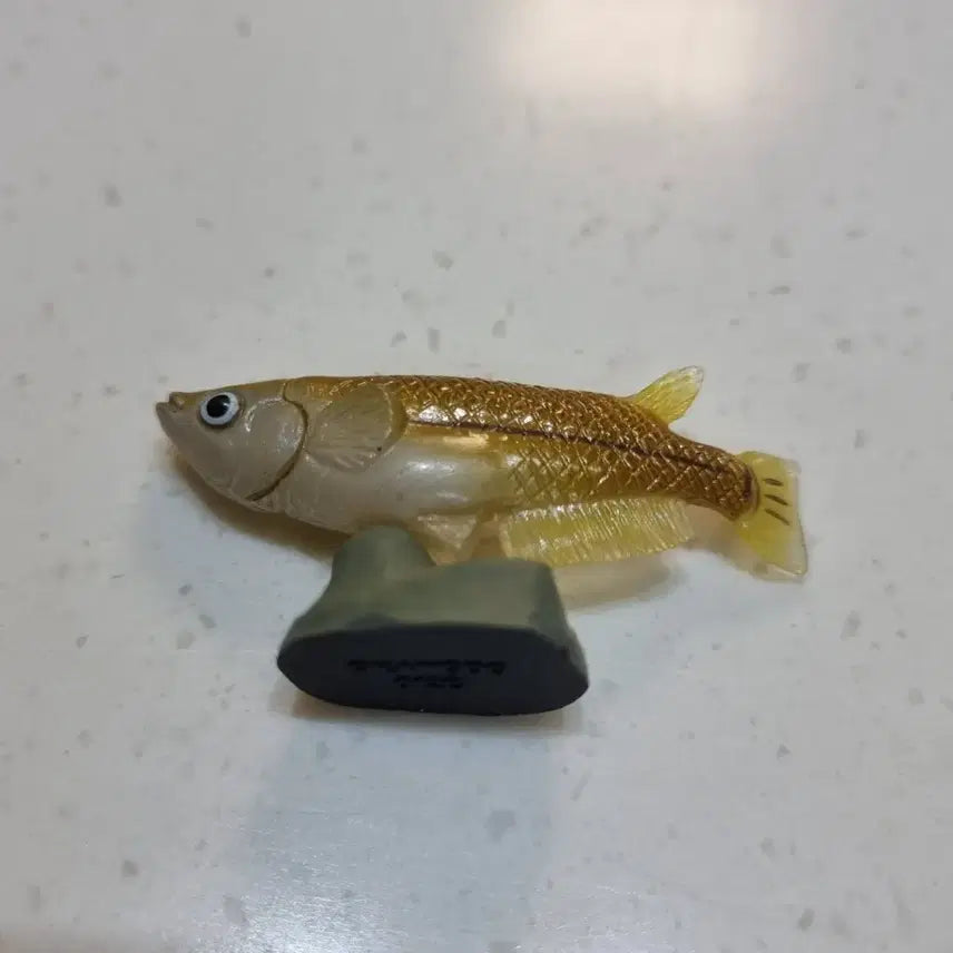 [BUNJANG] Kaiyodo Ricefish Figure / 카이요도 후루타 송사리 피규어 민물고기 생물 피규어