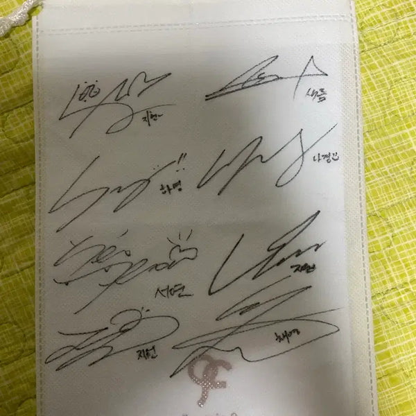 [BUNJANG] fromis_9 All Members Autographed Lightstick Pouch / 프로미스나인 전 멤버 싸인 응원봉 파우치