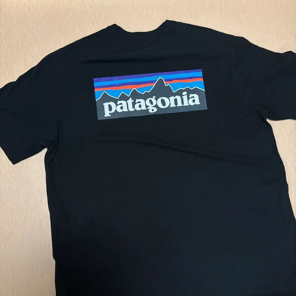 [BUNJANG] Patagonia Short Sleeve T-Shirt / 파타고니아 반팔