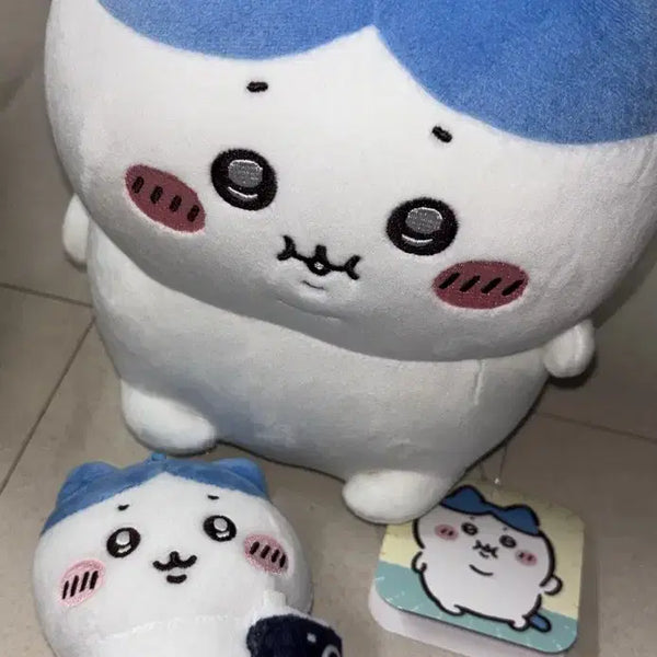 [BUNJANG] Monchiuni Hachiware & Chubby Hachiware 19cm Plush Set / (2종세트) 먼작귀 하치와레 포동포동 누이 뚱치와레 뚱뚱까스 19cm