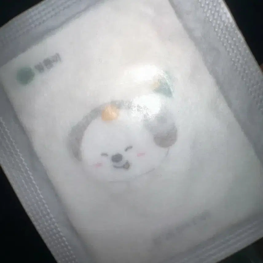 [BUNJANG] RIIZE Anton 50 Sticker / 라이즈 띠부씰 앤톤 50번