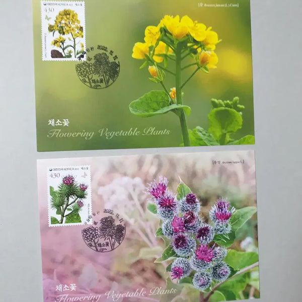 [BUNJANG] Chaeso Flower Stamp Museum Maximum Postcard / 채소꽃 우표박물관 맥시멈 엽서