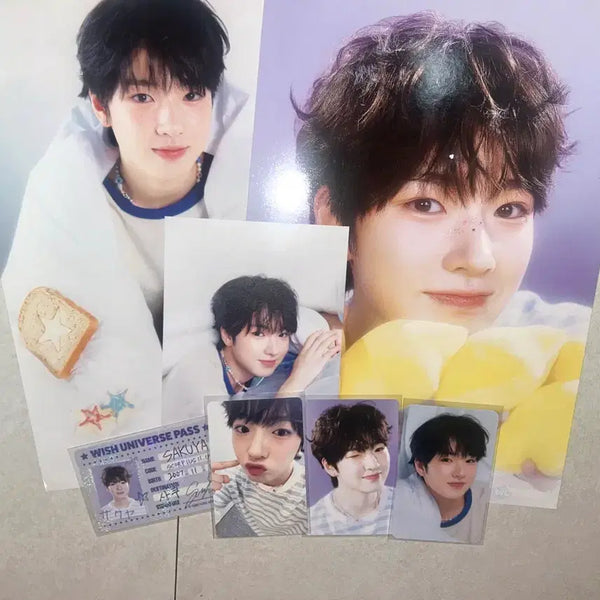 [BUNJANG] NCT WISH 2025 Season's Greetings Sakuya / 엔시티 위시 2025 시즌그리팅 사쿠야