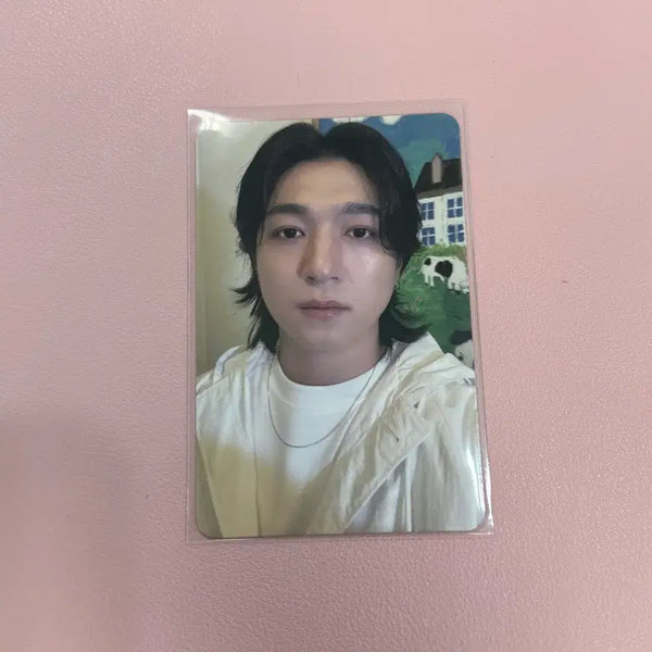 [BUNJANG] Day6 Sungjin Forever Young Concert Photocard / 데이식스 성진 포에버영 콘서트 입장포카 포카 양도