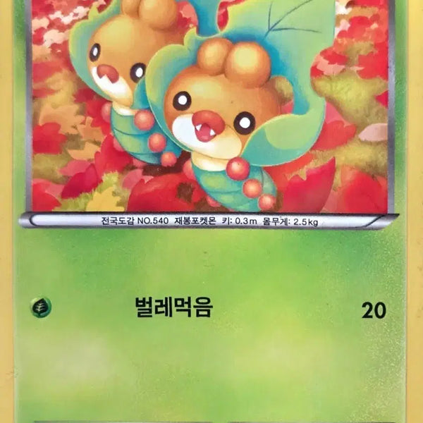 [BUNJANG] Pokemon Card Durubo BW6 / 포켓몬 카드 두르보 bw6