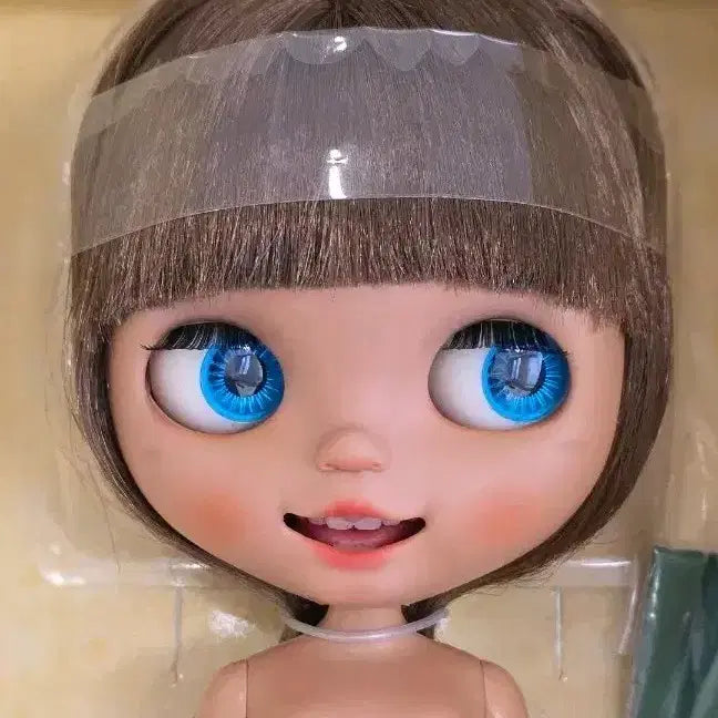 [BUNJANG] Custom Blythe Doll - Prima Dolly HeadSky / 커스텀 브라이스