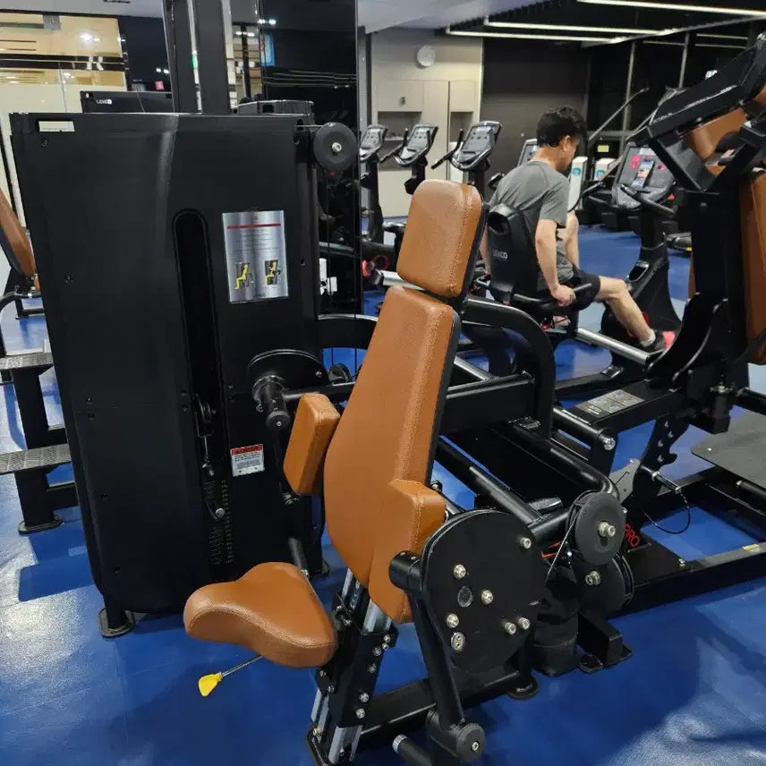 [BUNJANG] Rexco Arm Curl LS107 & Leg Press LS117 / 렉스코  암컬 LS107 . 레그프레스 LS 117