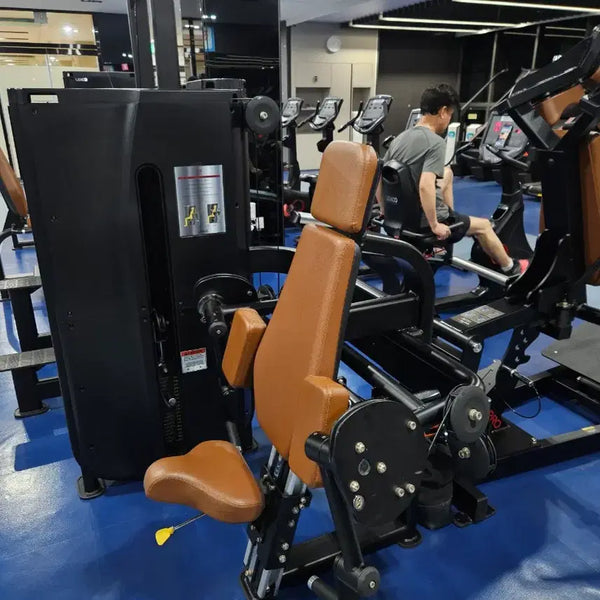 [BUNJANG] Rexco Arm Curl LS107 & Leg Press LS117 / 렉스코  암컬 LS107 . 레그프레스 LS 117