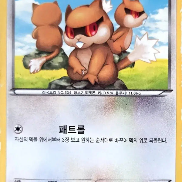 [BUNJANG] Pokemon Card Patrat / 포켓몬 카드 보르쥐