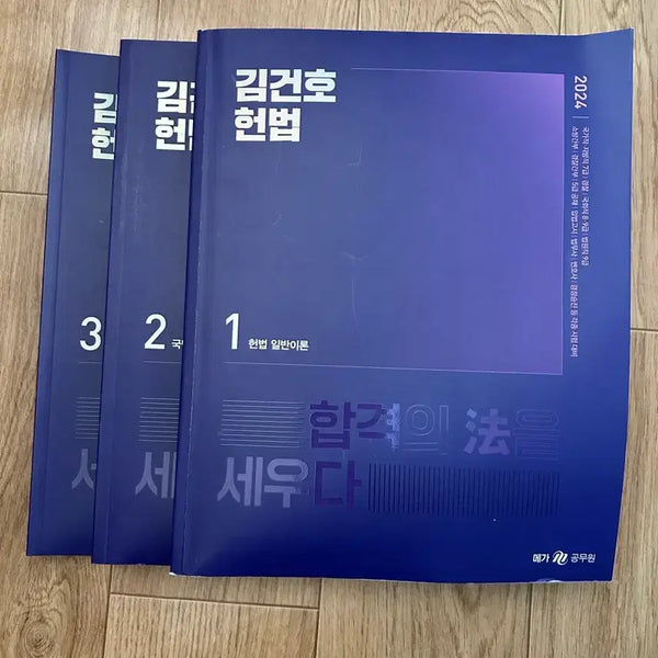 [BUNJANG] Kim Geon-ho 2024 Constitutional Law Textbook / 2024 김건호 헌법 기본서