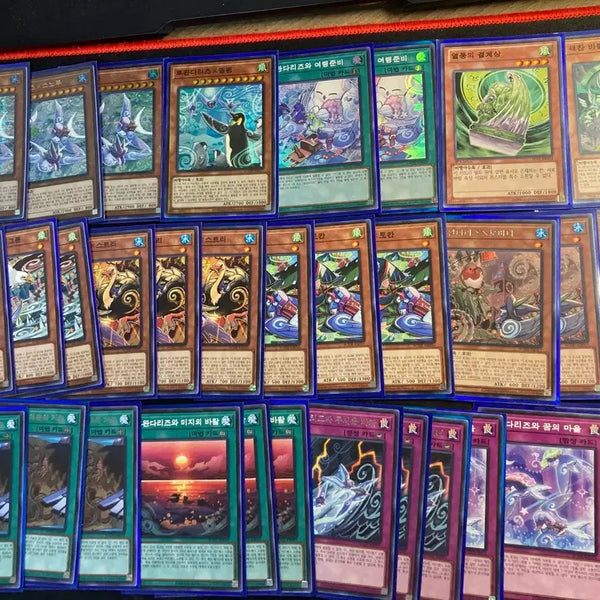 [BUNJANG] Yu-Gi-Oh! Fur Hire Deck / 유희왕 후완다리즈 덱 팝니다(범용 카드,패트랩o)
