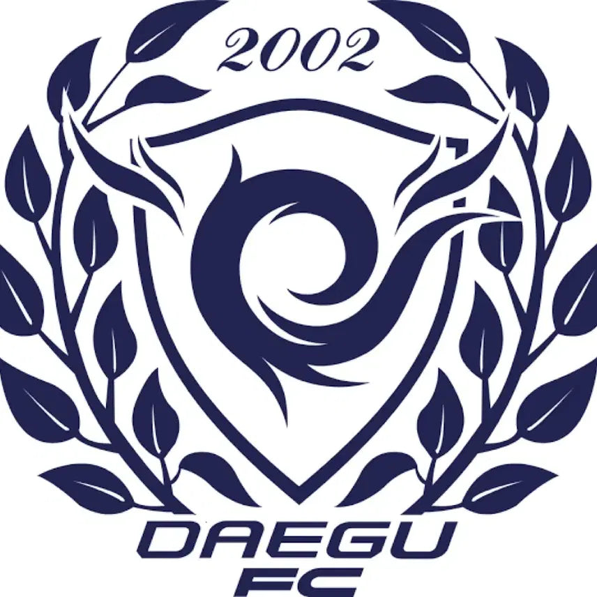 [BUNJANG] Daegu FC Multi-Season Jersey Bundle Set / (일괄) 대구fc 여러시즌 유니폼 판매