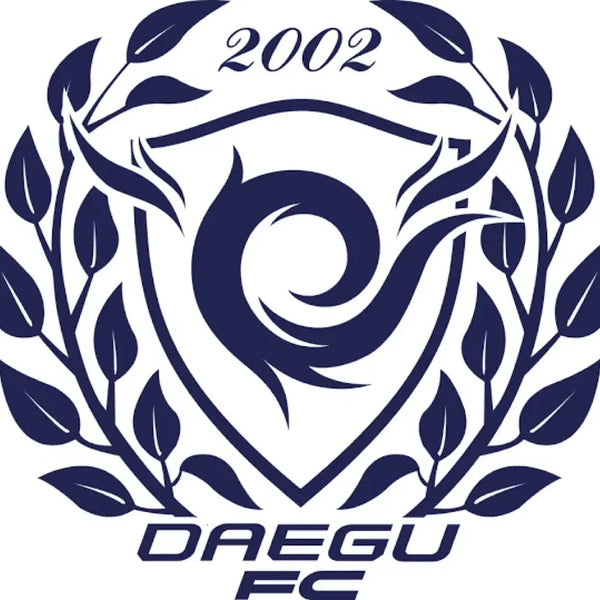 [BUNJANG] Daegu FC Multi-Season Jersey Bundle Set / (일괄) 대구fc 여러시즌 유니폼 판매