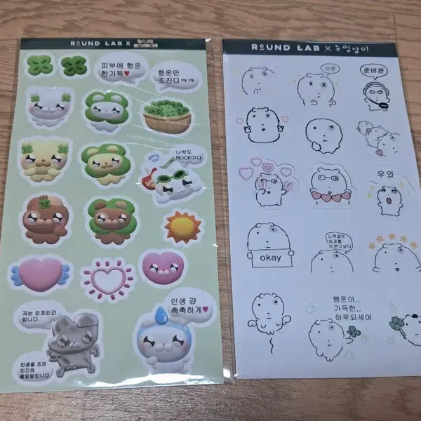 [BUNJANG] Round Lab Nunu Si Cat Sticker / 라운드랩 누누씨, 눈멍냥이 스티커
