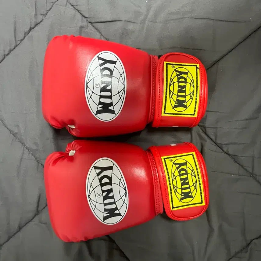 [BUNJANG] Windy Kids Boxing Gloves Red M Size / Windy 윈디 복싱 글러브 레드 키즈용 M 사이즈