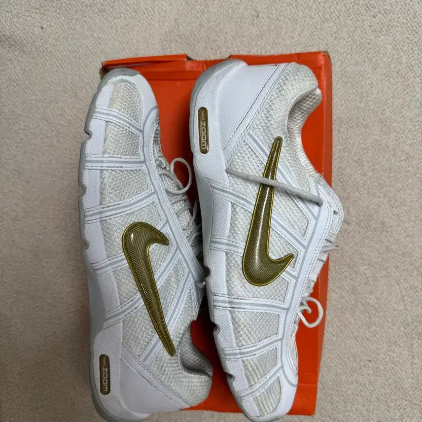 [BUNJANG] Nike Air Zoom Fencing Shoes / 나이키 에어줌 펜싱화