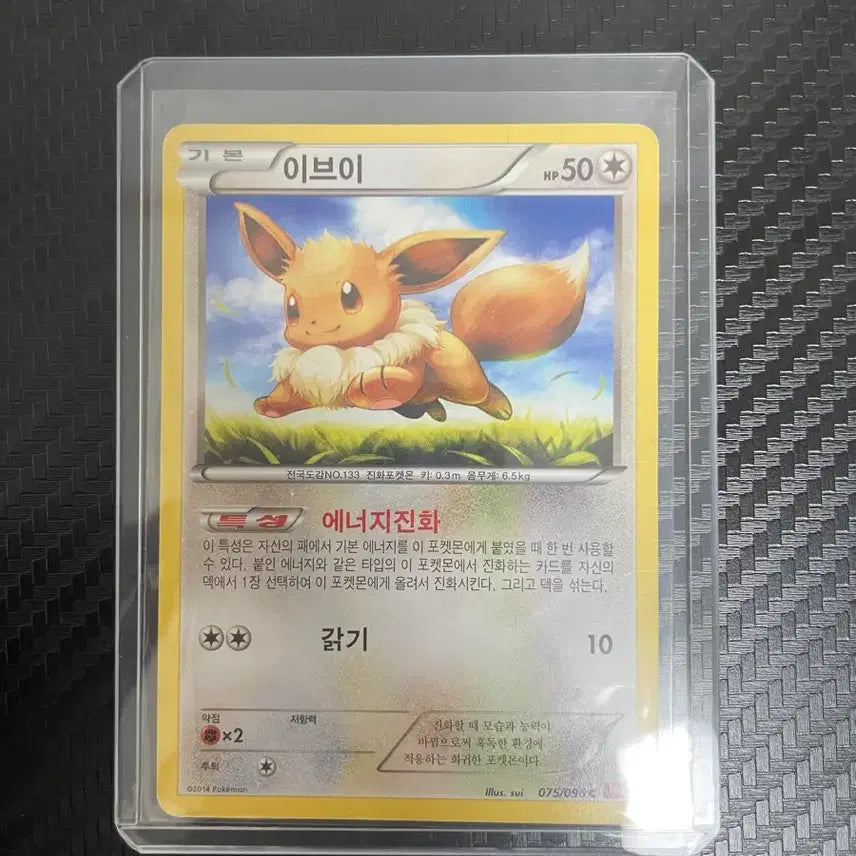 [BUNJANG] 2014 Eevee Normal Card / 2014 이브이 일반 노말 카드