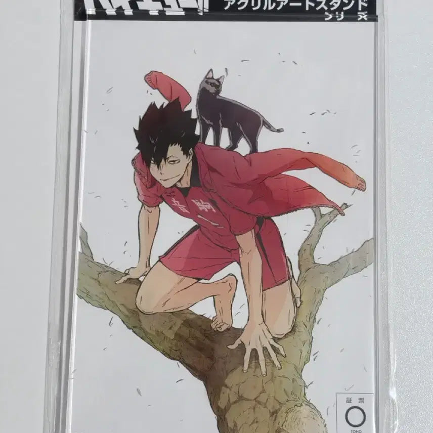 [BUNJANG] Haikyuu!! Kuroo Tetsurou Barefoot Acrylic Stand / [판매] 하이큐 쿠로오 맨발 아크릴 스탠드