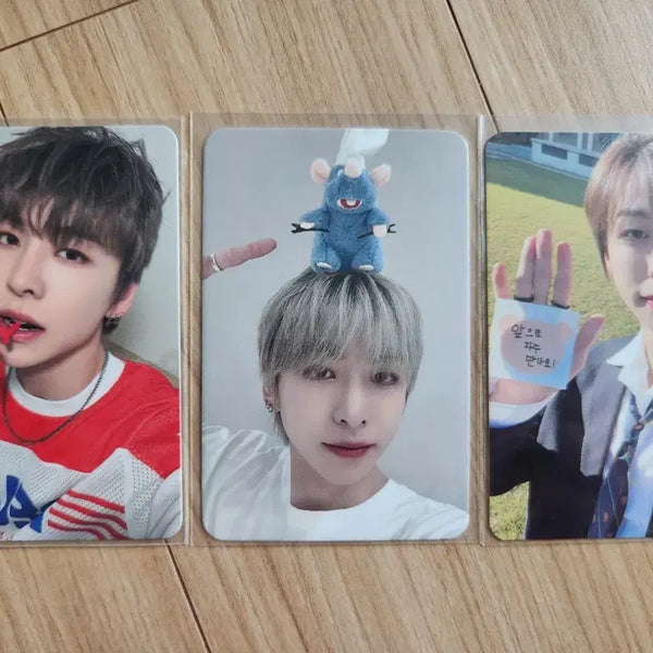 [BUNJANG] AMPERSAND ONE Choi Jiho Bundle Set Photocard / 앰퍼샌드원 최지호 포카 일괄