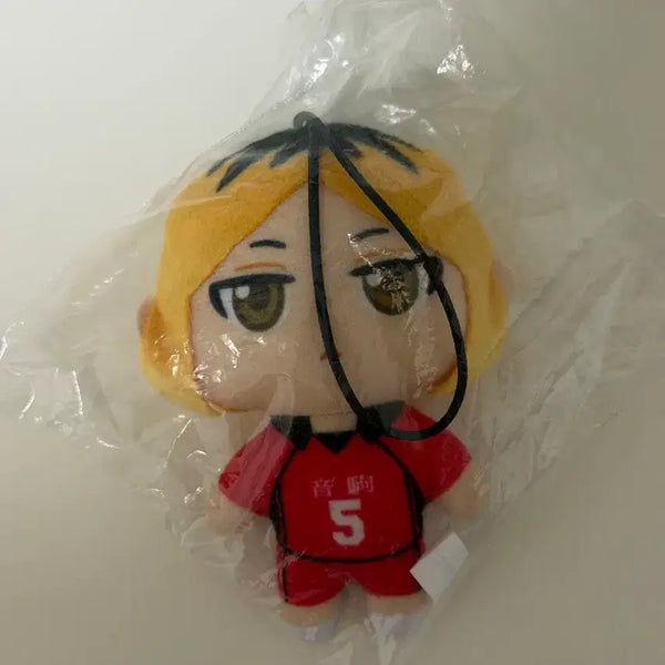 [BUNJANG] Haikyuu!! Kenma Kozume Plush Doll / 하이큐 켄마 누이구루미 누이 봉제인형