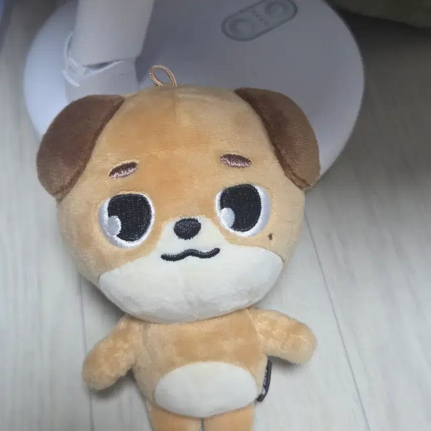 [BUNJANG] Day6 Dowoon Plush Doll / 데이식스 도운 인형