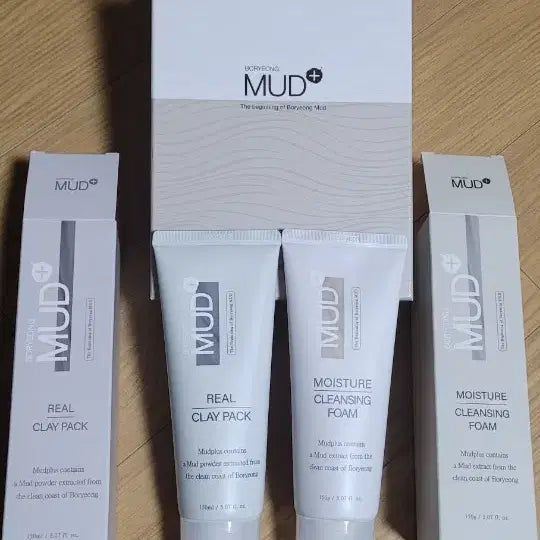 [BUNJANG] Boryeong Mud Cleansing Foam and Real Clay Pack Set / 보령머드 클렌징폼과 리얼 클레이팩 세트