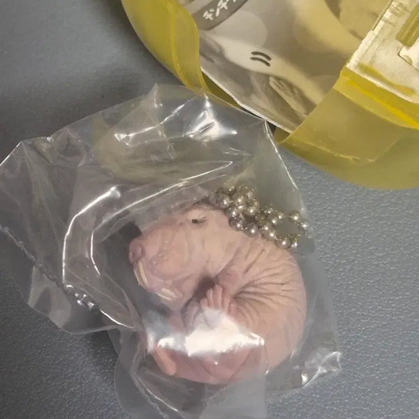[BUNJANG] Whimsical Mole Keychain Gacha / 동글동글 귀염쥐 두더지쥐 열쇠고리 가챠