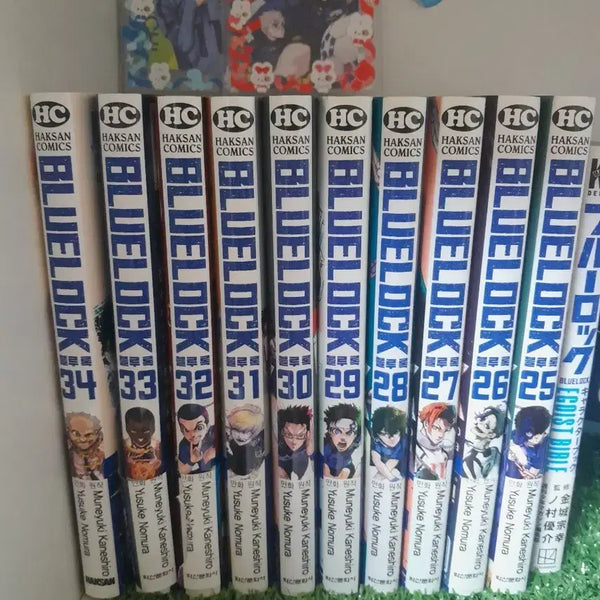 [BUNJANG] Blue Lock Manga Volumes 25-34 Set / 블루록 만화책 25-34권 판매 블루락이사기린일괄개별