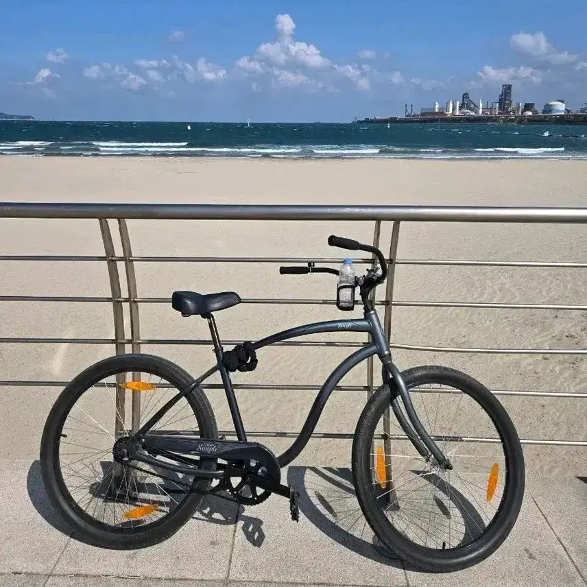 [BUNJANG] Giant Simple Single Beach Cruiser Bicycle / 자이언트 심플 싱글 비치크루저 자전거